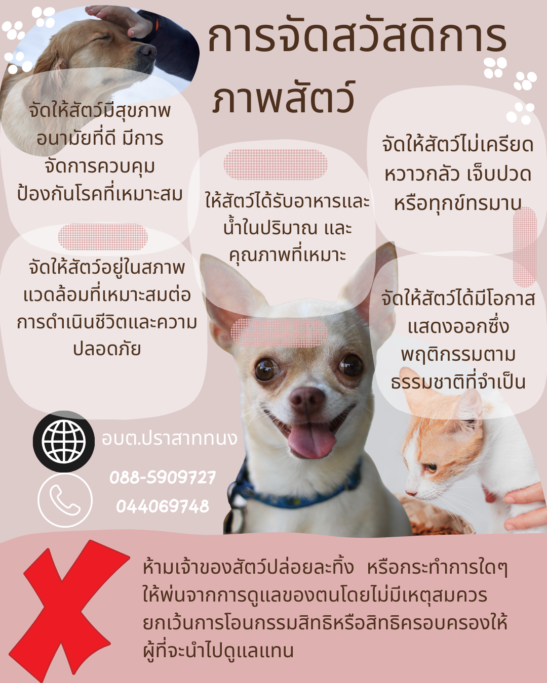 การจัดสวัสดิการภาพสัตว์